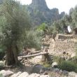 TR_wandern_13.jpg