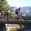 soller4-gr.jpg