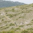 Manresa_Coll Benet_3_Traumtrail.jpg