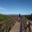 Tour Albufera_Son Real_9_2011.jpg
