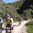 Trailrunde Esporles_2_2011.jpg
