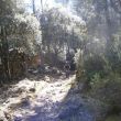 Galatzo Trail_07.jpg