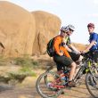 Namibia_palmapix145.JPG