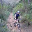 Trailrunde Esporles_4_2011.jpg
