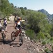 alcudia2-gr.jpg