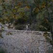 Galatzo Trail_13.jpg