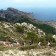 tr-soller2-small.jpg