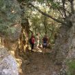 TR_wandern-02.jpg