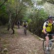 Trailrunde Esporles_7_2011.jpg