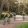Coll Baix.jpg