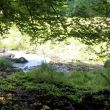 Naafbach_001.JPG