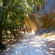 Aubarca_002.jpg