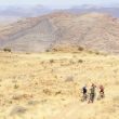 Namibia_palmapix34.JPG