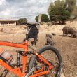 Tour Albufera_Son Real_1a_2011.jpg