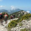 TR_wandern.jpg