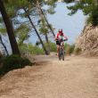 alcudia3-gr.jpg