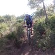 Tour Coll Baix_7_2011.jpg