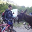 soller3-gr.jpg
